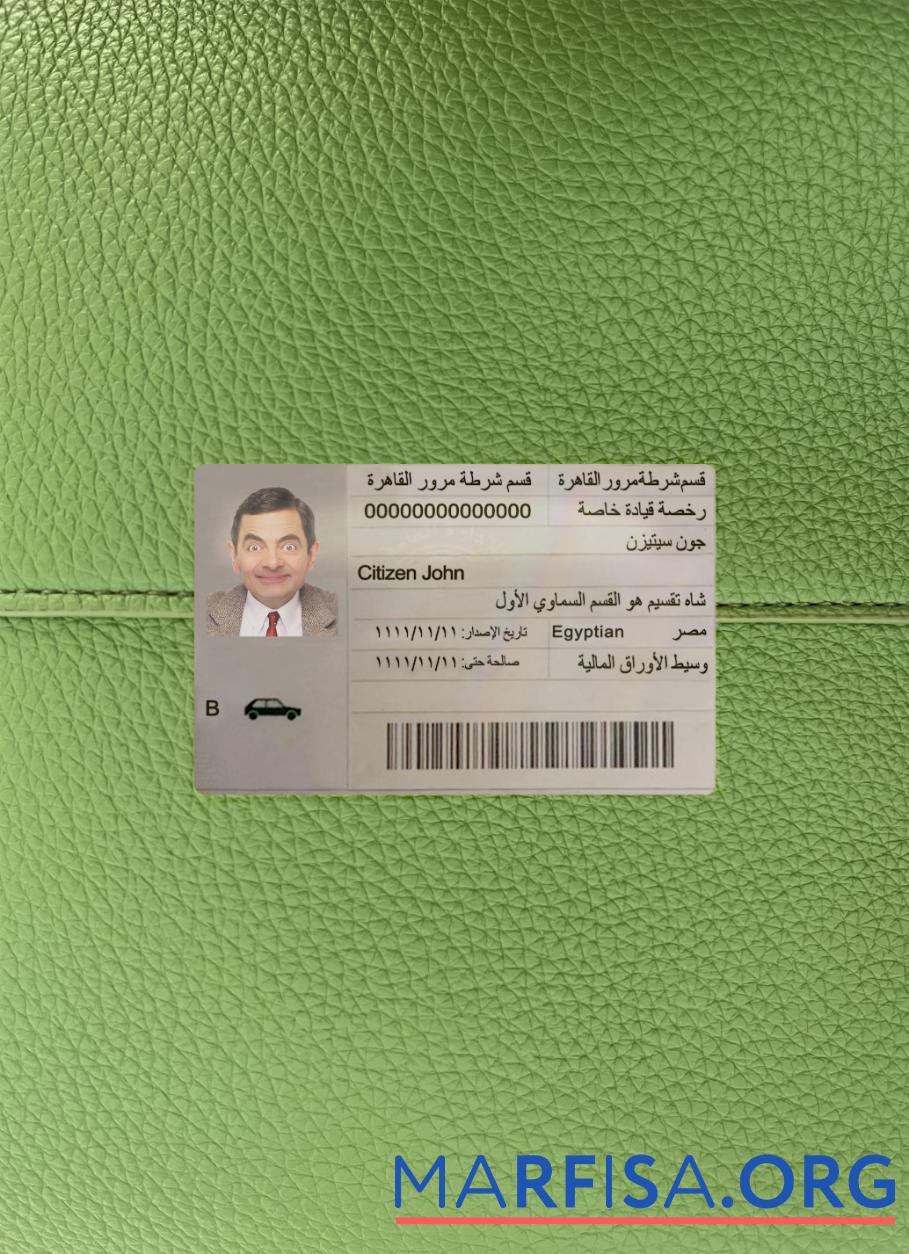 Downloadable Egypt driving license photolook download for verification